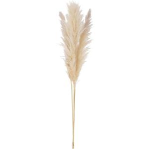 imageCreative CoOp Dried Pampas Grass Bunch Natural