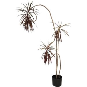imageCreative CoOp Faux Dracaena Tree in Plastic Pot Natural