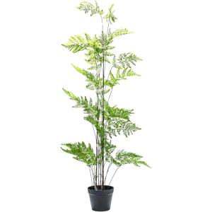 imageCreative CoOp Faux Fern Tree in Plastic Pot Green