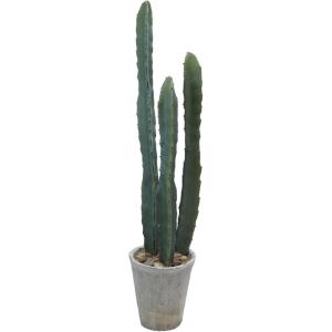 imageCreative CoOp Round Faux Euphorbia Cactus in Cement Pot with Pebbles Green