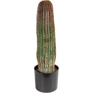 imageCreative CoOp Round Faux Vatricania Cactus in Plastic Pot Green