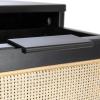imageCreative CoOp Crawford Solid Wood Nightstand with 2 Storage Drawers and Cane Detail Light Brown FinishBlack and Natural