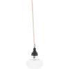 imageCreative CoOp Glass ampamp Mango Wood Ceiling Pendant LightBlack