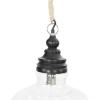 imageCreative CoOp Glass ampamp Mango Wood Ceiling Pendant LightBlack