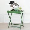 imageCreative CoOp Verdant BambooHandled Folding Tray Table Green