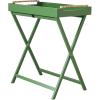 imageCreative CoOp Verdant BambooHandled Folding Tray Table Green
