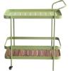 imageCreative CoOp IndoorOutdoor Metal and Acacia Wood 2Tier Bar Cart on Caster Wheels Green and Natural