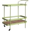imageCreative CoOp IndoorOutdoor Metal and Acacia Wood 2Tier Bar Cart on Caster Wheels Green and Natural