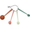 imageCreative CoOp 4Piece Enameled Stainless Steel Measuring Spoons Multicolor