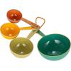 imageCreative CoOp Enameled Stainless Steel Measuring Spoons Multicolor Set of 4