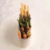 imageStoneware Hobnail Window Planter with 3 Sections Reactive Glaze White Each One Will Vary
