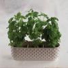 imageStoneware Hobnail Window Planter with 3 Sections Reactive Glaze White Each One Will Vary