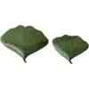 imageCreative CoOp Boho Stoneware Gingko Leaf Shaped Set of 2 Sizes Green Plate