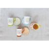 imageCreative CoOp HandPainted Stoneware Saucer with Saying Set of 4 Mug Set 5quot L x 4quot W x 5quot H Multicolor