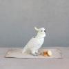 imageCreative CoOp White Ceramic Cockatoo Jar Yellow Medium