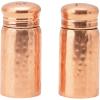 imageCreative CoOp Hammered Stainless Steel Copper Finish Salt ampamp Pepper Shaker 35quot
