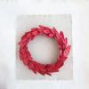 imageCreative CoOp 22quot Round Dried Natural Buri Palm Leaf Wreath Red