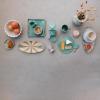 imageCreative CoOp Aqua Round Stoneware Cheese Board with Leather Tie Large