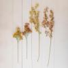 imageCreative CoOp Faux Flower Stem Decor Orange and Green