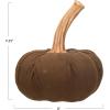 imageCreative CoOp Large Flocked Resin Pumpkin with Stone Powder Brown