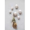 imageCreative CoOp Paulownia Wood Acorn Wall HookAccorn