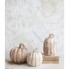 imageCreative CoOp Paulownia Wood Acorn Wall HookPumpkin