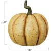 imageCreative CoOp Resin Pumpkin Decor with Green Stem Orange