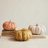 imageCreative CoOp Resin Pumpkin with Stone Powder Finish Orange