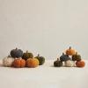 imageCreative CoOp Small Boucl Velvet Pumpkin Holiday Decor with Wood Stem Multicolor Set of 6