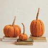 imageCreative CoOp Wool Pumpkin with Jute Wrapped Stem Orange