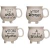 imageCreative CoOp 12 Ounce Stoneware Witch Saying Set of 4 Styles Mugs ampamp Cups White