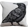 imageCreative CoOp 18 Square TwoSided Cotton Knit Pillow wCrow White ampamp Black