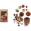 imageCreative CoOp Dried Natural Organic Pumpkin Shaped Mix in Box Multicolor