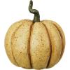 imageCreative CoOp Resin Pumpkin Decor with Green Stem Orange