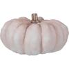 imageCreative CoOp Resin Pumpkin Decor with Stone Powder Finish Cream