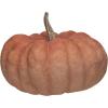imageCreative CoOp Resin Pumpkin with Stone Powder Finish Orange