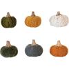 imageCreative CoOp Small Boucl Velvet Pumpkin Holiday Decor with Wood Stem Multicolor Set of 6