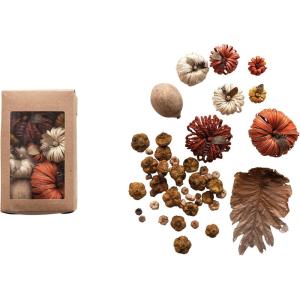 imageCreative CoOp Dried Natural Organic Pumpkin Shaped Mix in Box Multicolor