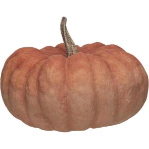 imageCreative CoOp Resin Pumpkin with Stone Powder Finish Orange