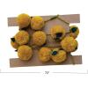 imageCreative CoOp Acrylic Pom Pom Garland with Wool Felt Leaves Mustard Color and Green