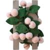 imageCreative CoOp Handmade Wool Felt Leaves and Pom Pom Cherries Garland Green Pink and Brown