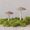 imageCreative CoOp Carved Wood Mushroom with Dots Natural