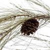 imageCreative CoOp Faux Long Needle Pine Garland with Pinecones Sage