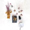 imageCreative CoOp 6 Inches Agate and Metal Wall Lamp with Inline Switch for 40 Watts Bulb Maximum Natural and Brass Finish