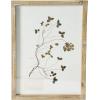 imageCreative CoOp Botanical Wood Framed Wall Decor Multicolor Set of 6