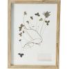 imageCreative CoOp Botanical Wood Framed Wall Decor Multicolor Set of 6