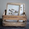 imageCreative CoOp Botanical Wood Framed Wall Decor Multicolor Set of 6
