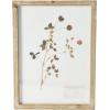 imageCreative CoOp Botanical Wood Framed Wall Decor Multicolor Set of 6
