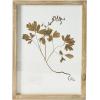 imageCreative CoOp Botanical Wood Framed Wall Decor Multicolor Set of 6