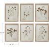 imageCreative CoOp Botanical Wood Framed Wall Decor Multicolor Set of 6